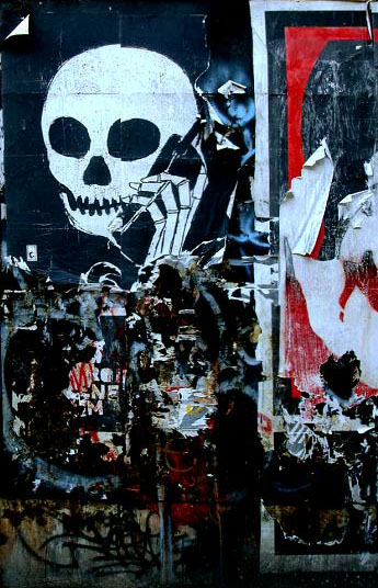 photo by a. fluffy bunny